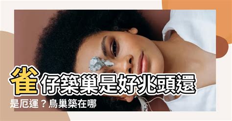 自來雀風水|如何引自來雀改善家宅風水？